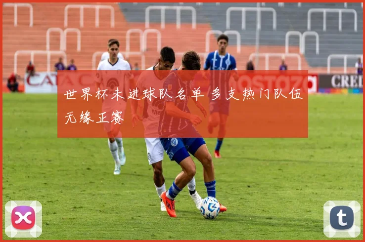 世界杯未进球队名单 多支热门队伍无缘正赛