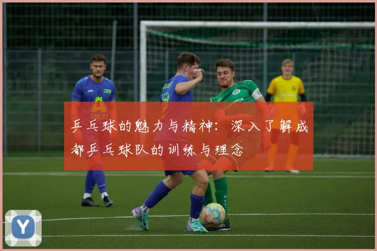 乒乓球的魅力与精神:深入了解成都乒乓球队的训练与理念