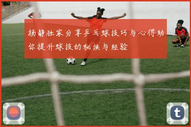 杨静独家分享乒乓球技巧与心得助你提升球技的秘诀与经验