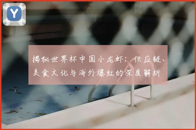 揭秘世界杯中国小龙虾：供应链、美食文化与海外爆红的深度解析