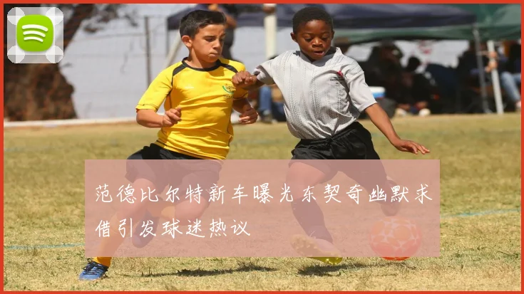 范德比尔特新车曝光东契奇幽默求借引发球迷热议