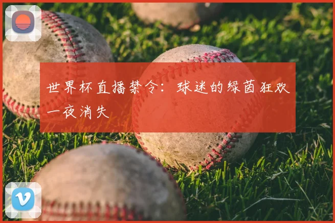 世界杯直播禁令：球迷的绿茵狂欢一夜消失