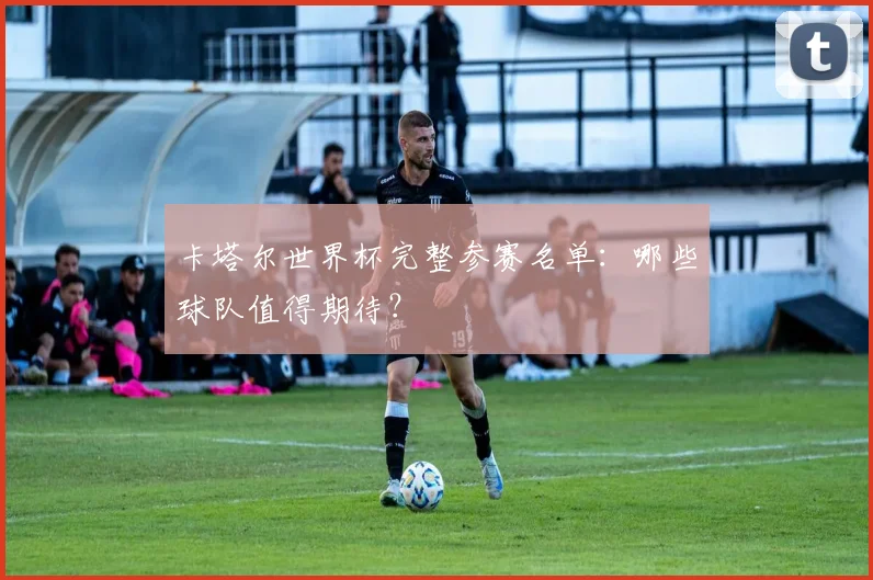 卡塔尔世界杯完整参赛名单:哪些球队值得期待?