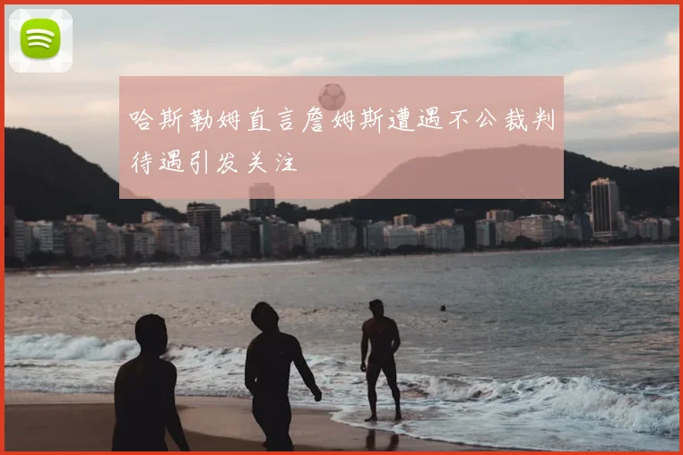 哈斯勒姆直言詹姆斯遭遇不公裁判待遇引发关注
