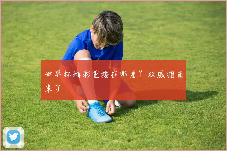 世界杯精彩重播在哪看?权威指南来了
