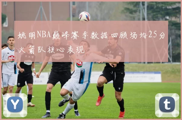姚明NBA巅峰赛季数据回顾场均25分火箭队核心表现