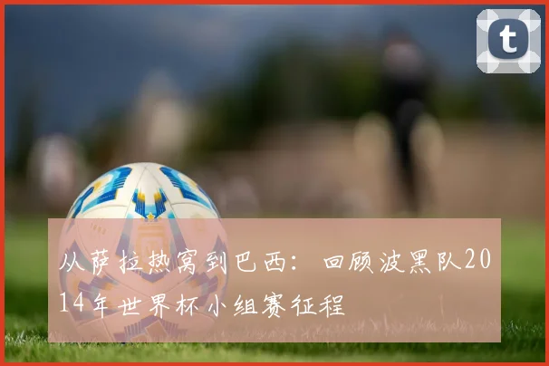 从萨拉热窝到巴西：回顾波黑队2014年世界杯小组赛征程