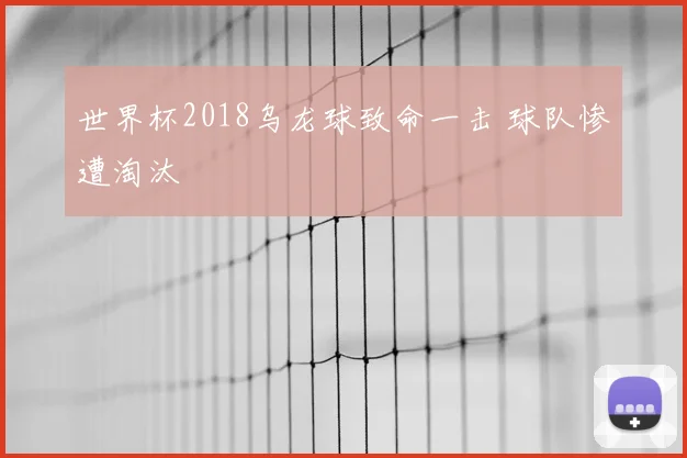 世界杯2018乌龙球致命一击 球队惨遭淘汰